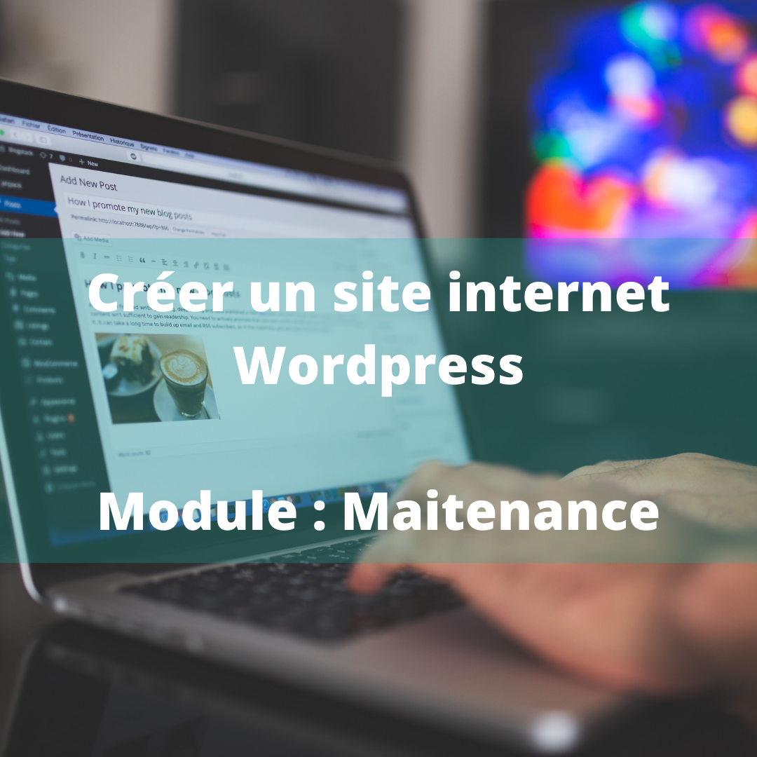 créer un site internet WordPress : module e-commerce